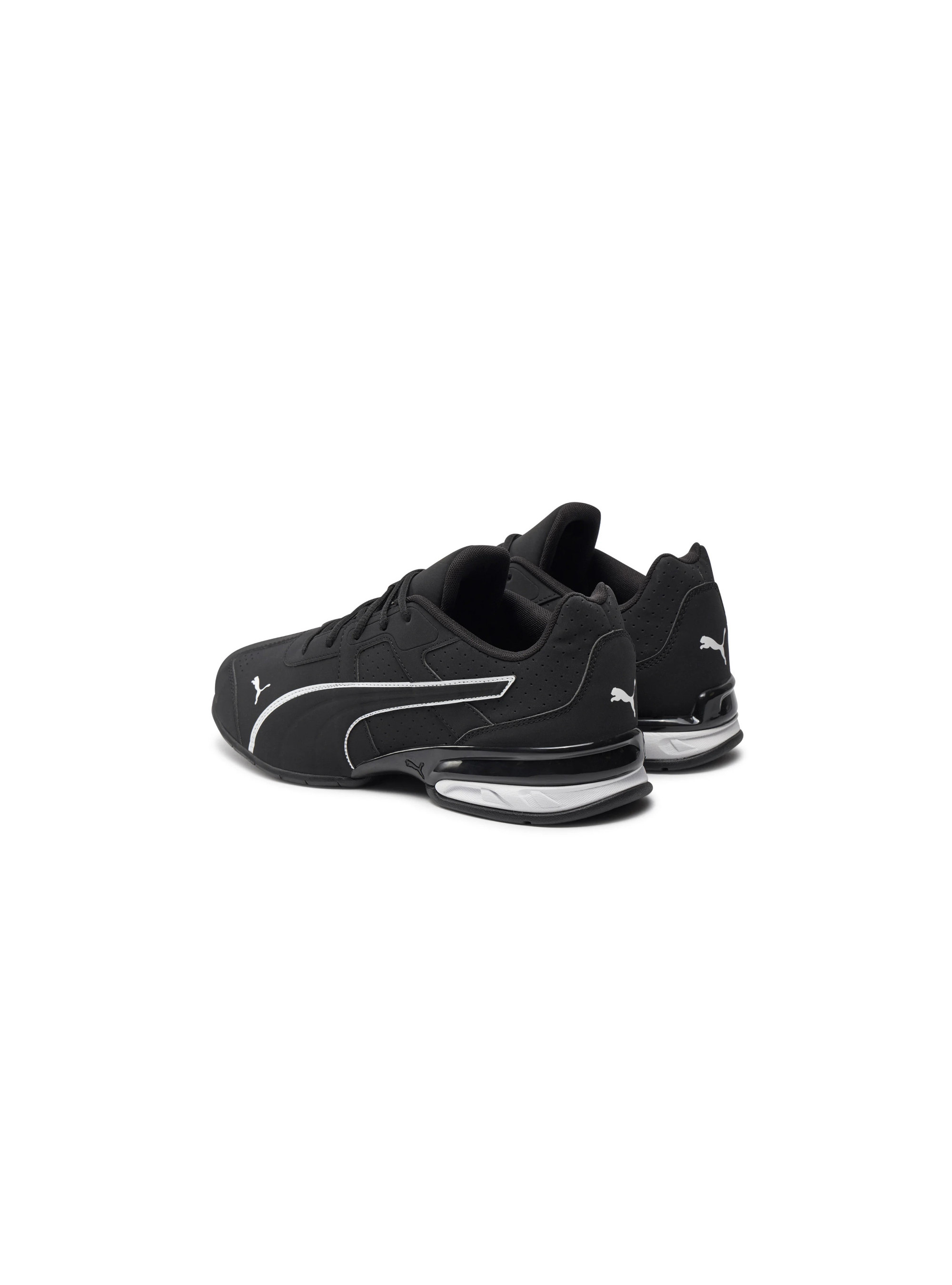 Puma TAZON 7 EVO 31037803