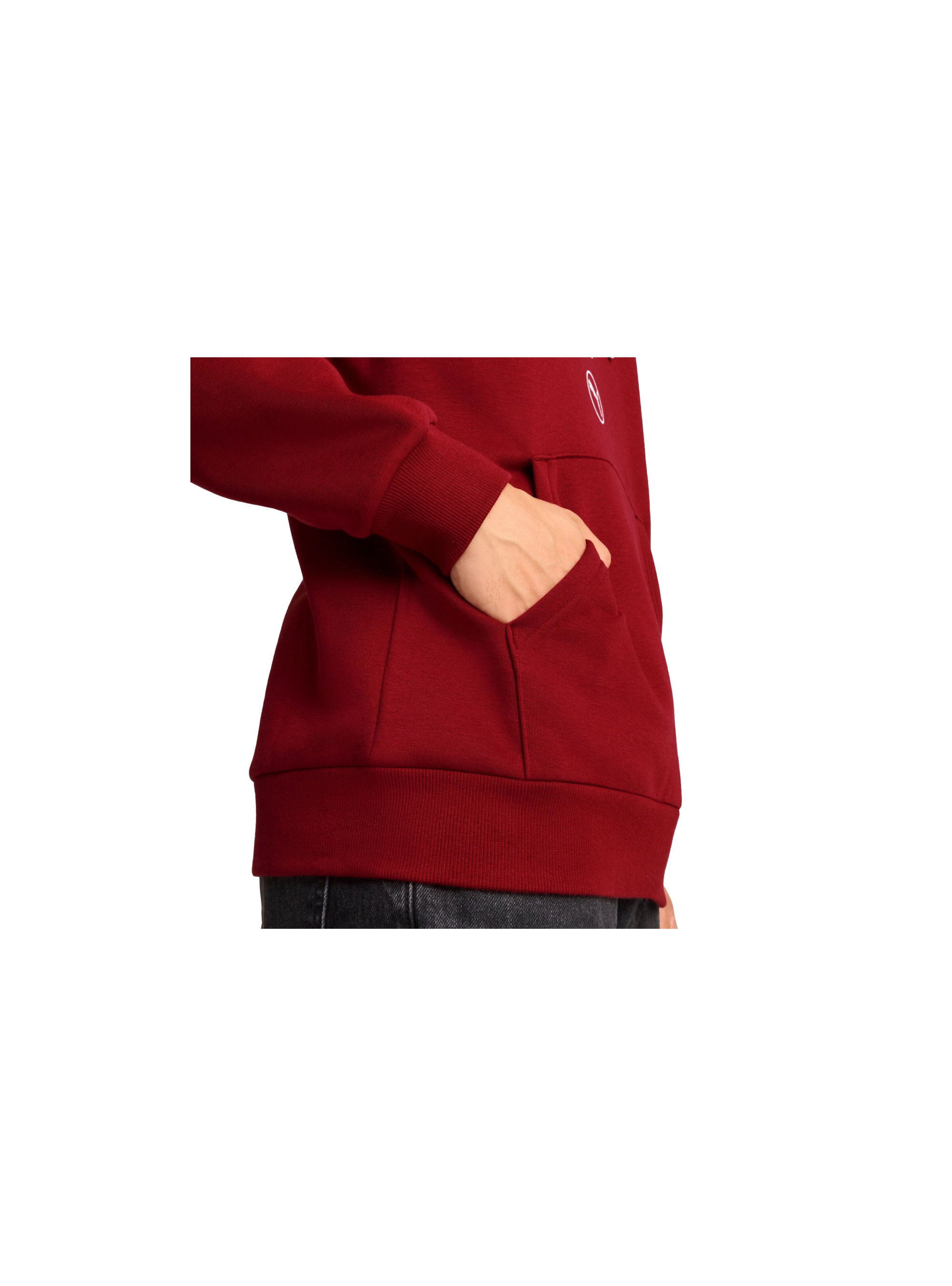 Puma POWER GRAPHIC HOODIE FL 68174113 Puma POWER GRAPHIC HOODIE FL 68174113