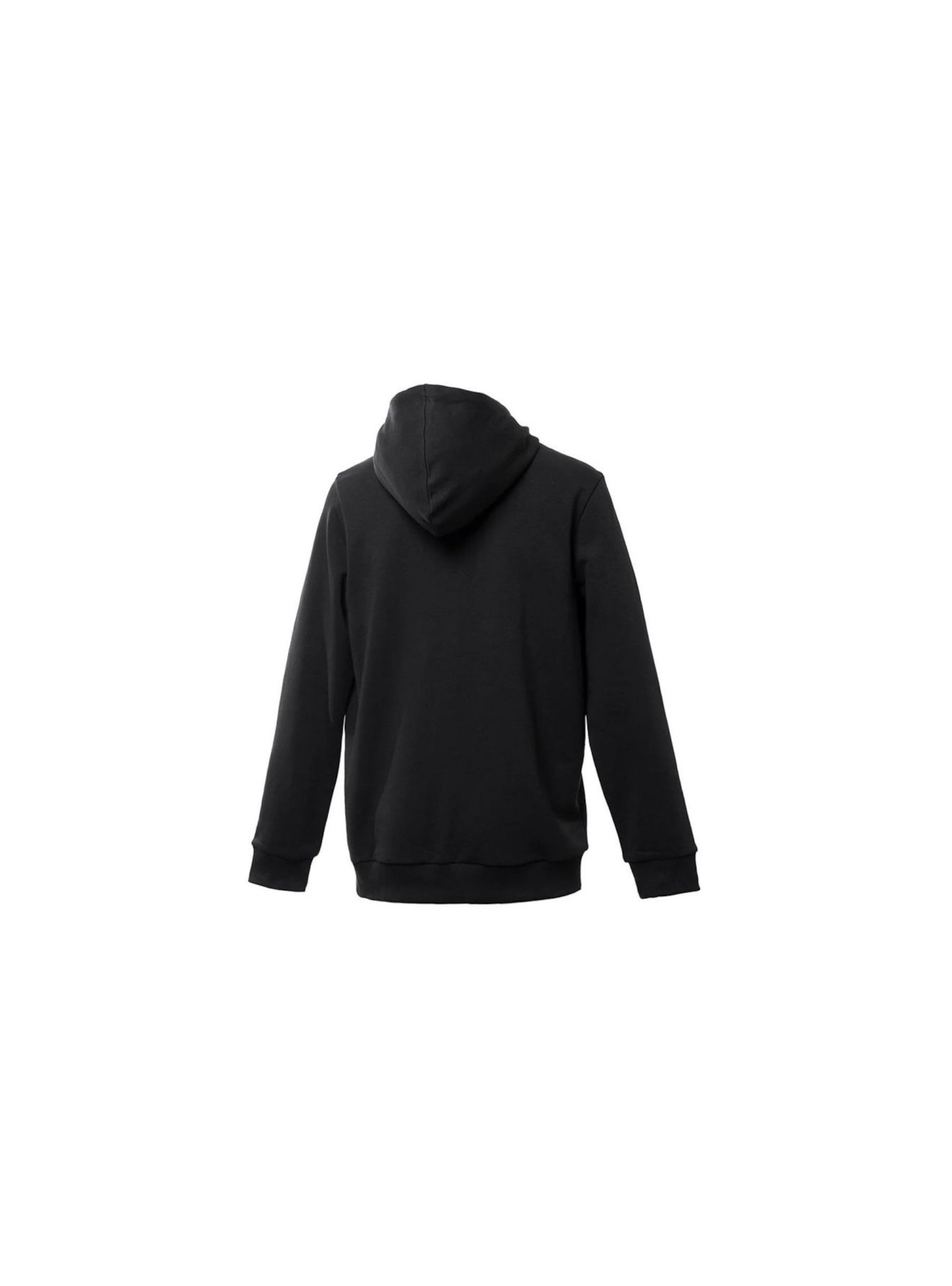 Puma ACM CULTURE HOODIE 77767704