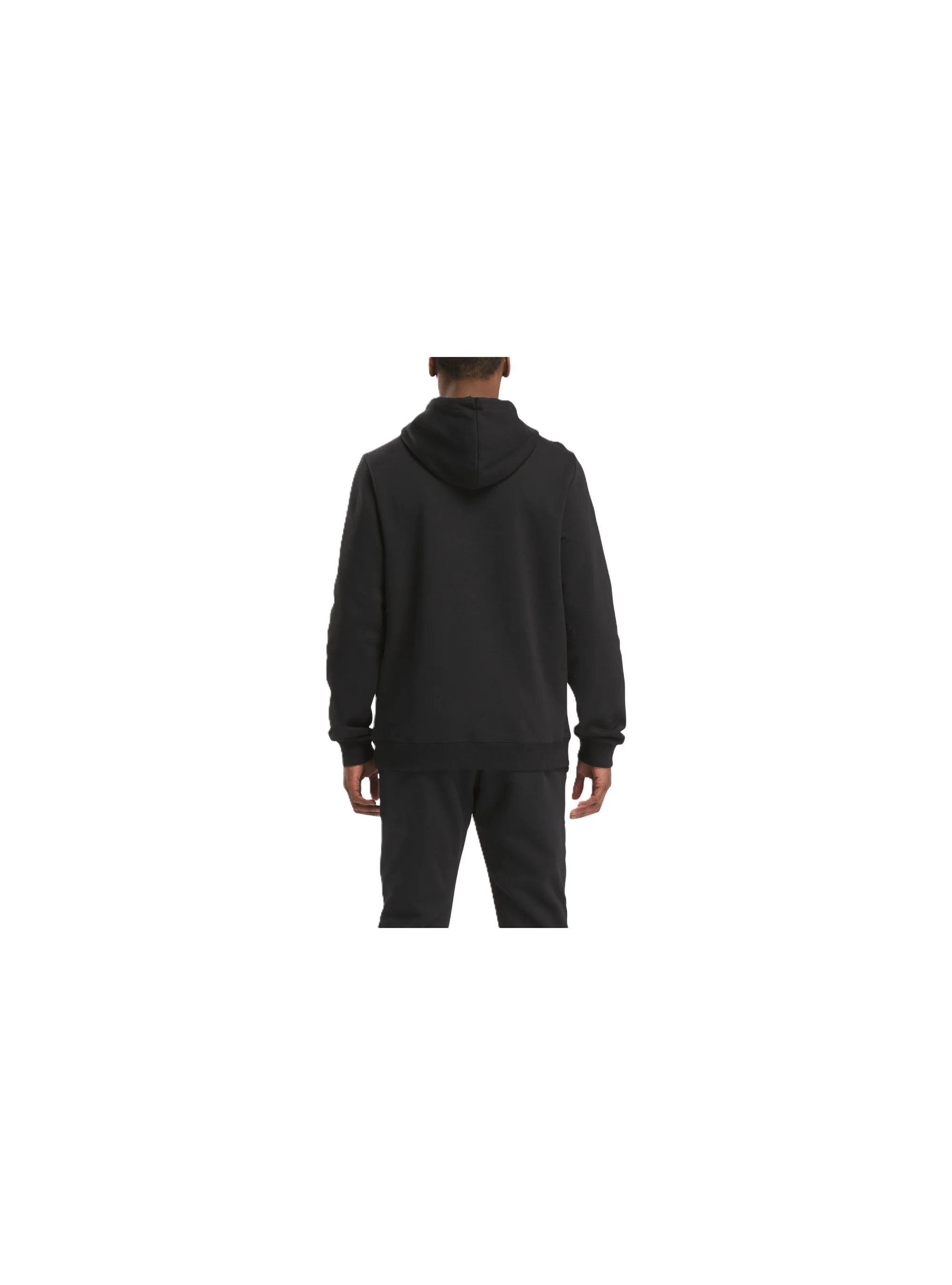 Reebok IDENTITY SMALL LOGO FLEECE HOO 100202869 Reebok IDENTITY SMALL LOGO FLEECE HOO 100202869