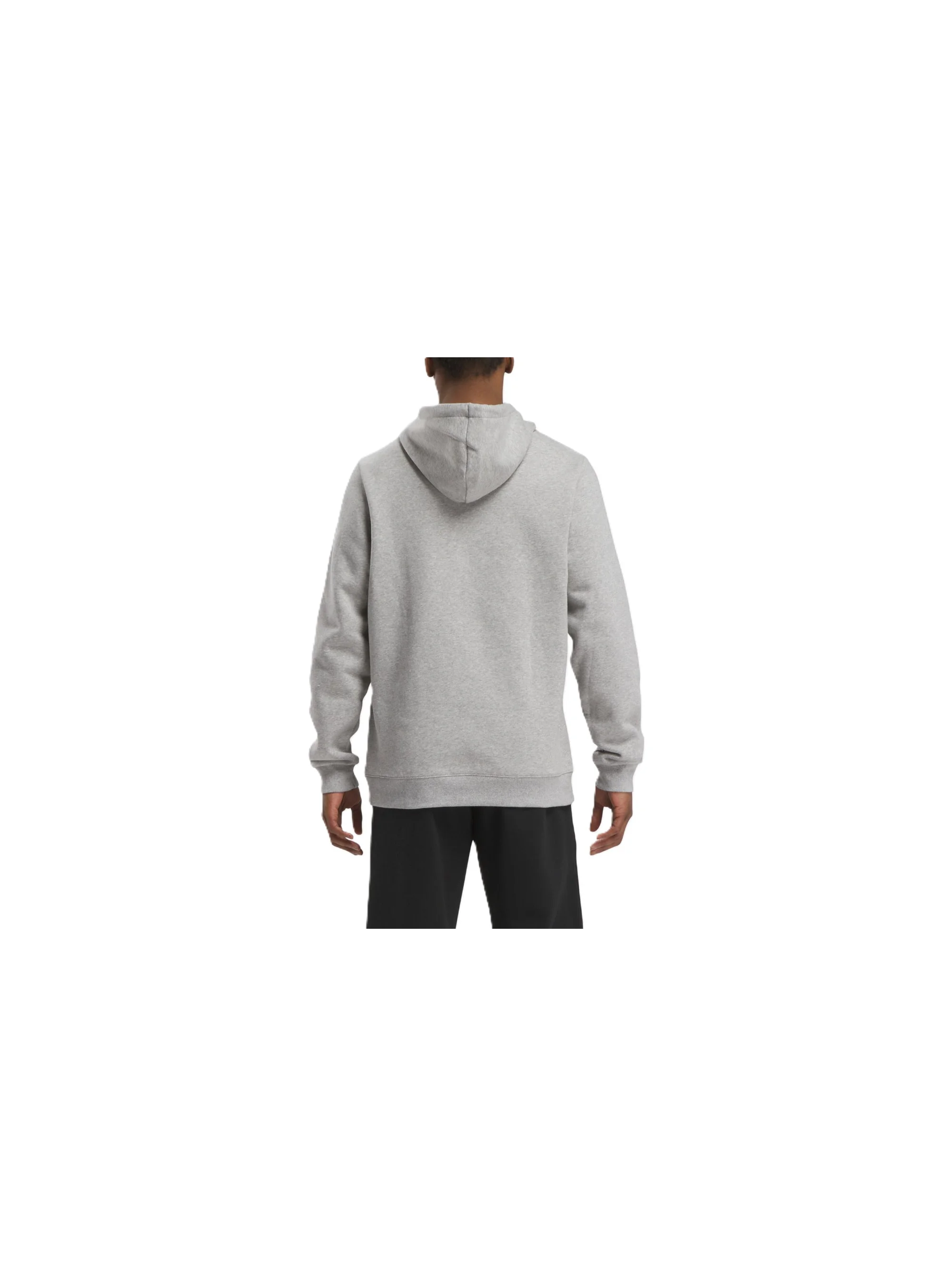 Reebok IDENTITY SMALL LOGO FLEECE HOO 100202875