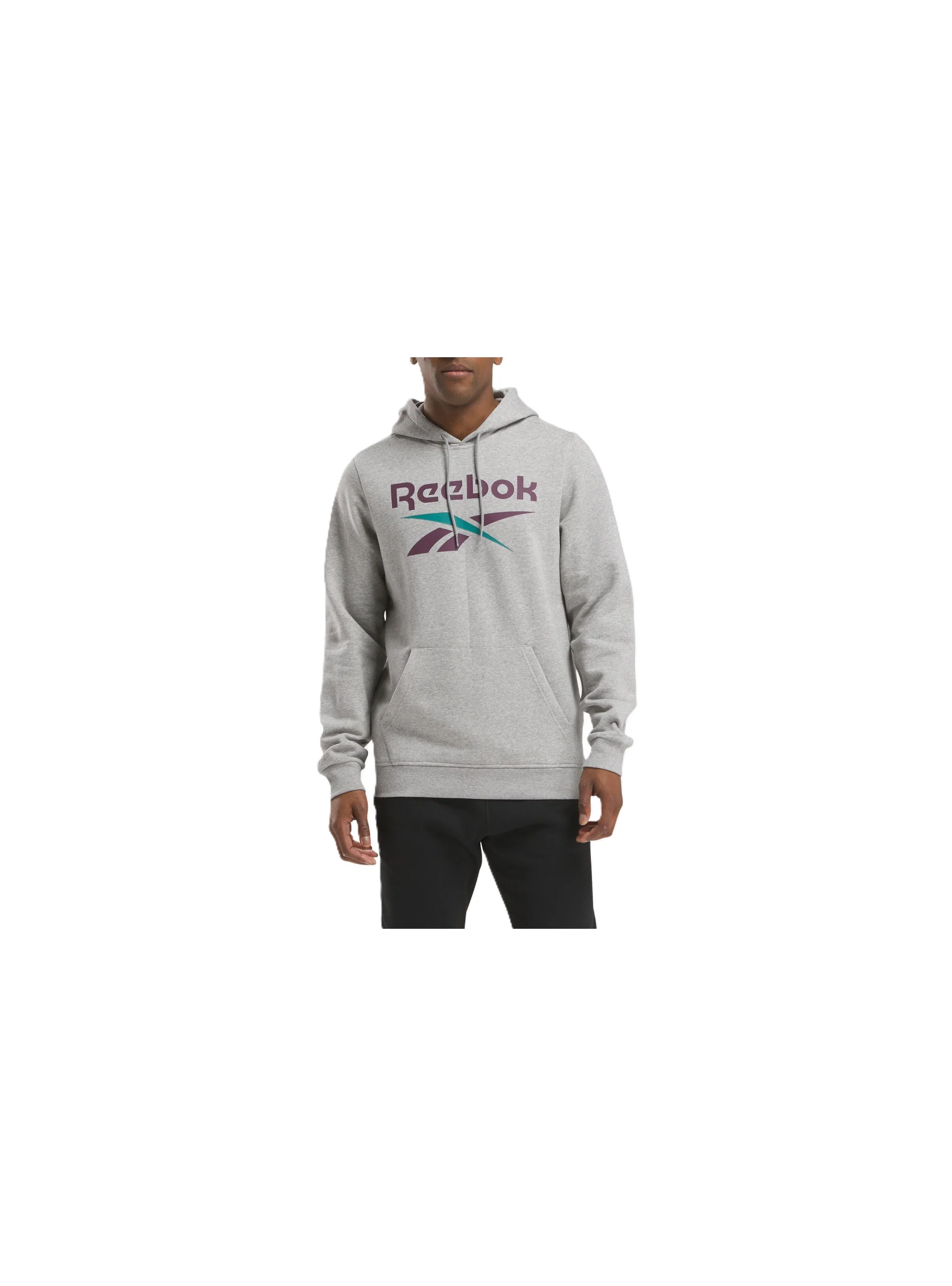 Reebok IDENTITY BIG LOGO FLEECE HOODI 100206026