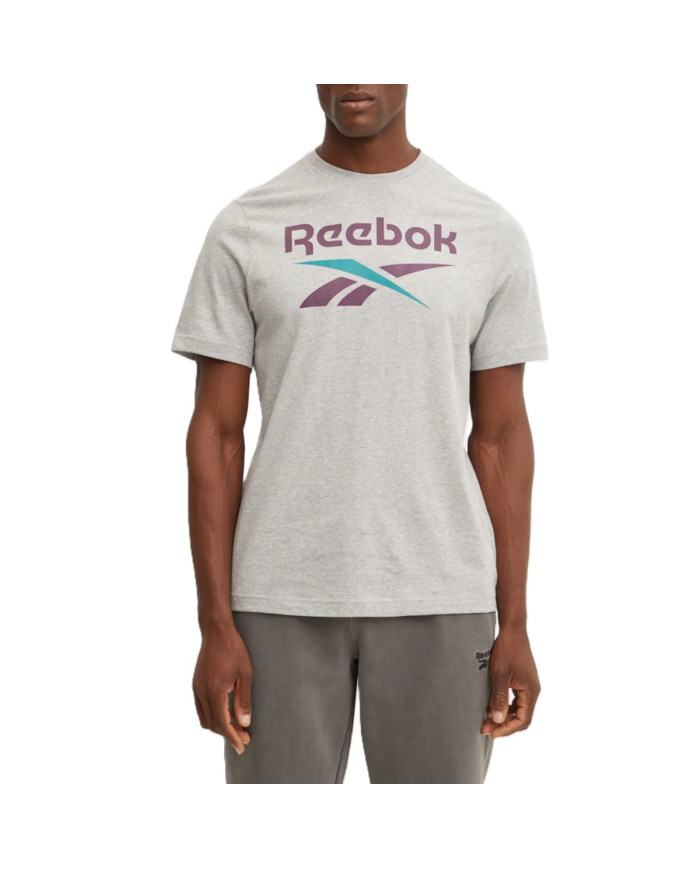 Reebok Męski T-shirt Identity Big Logo Tee Szary | Oficjalny sklep | Monotox
