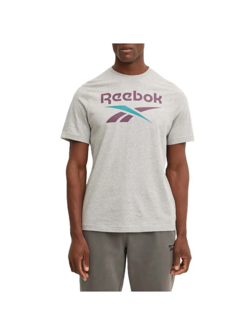 Reebok IDENTITY BIG LOGO TEE 100206031