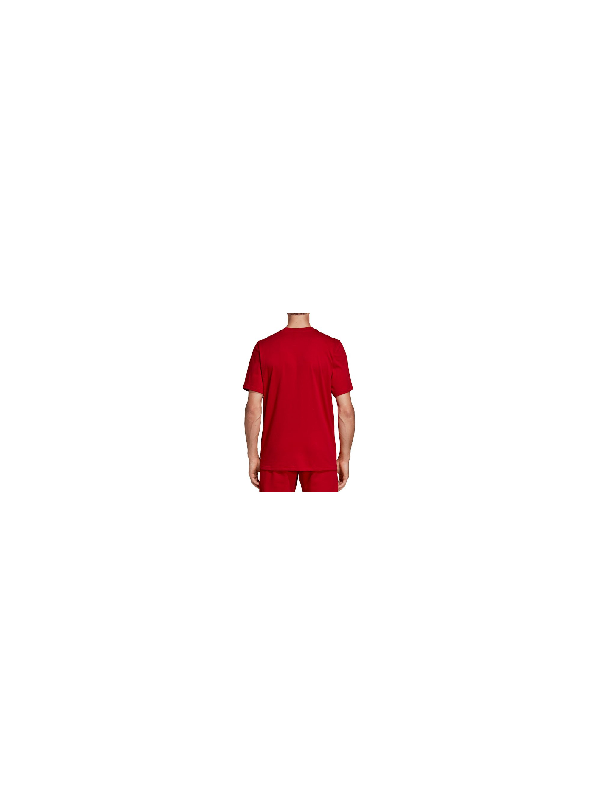 Adidas TREFOIL TEE DX3609