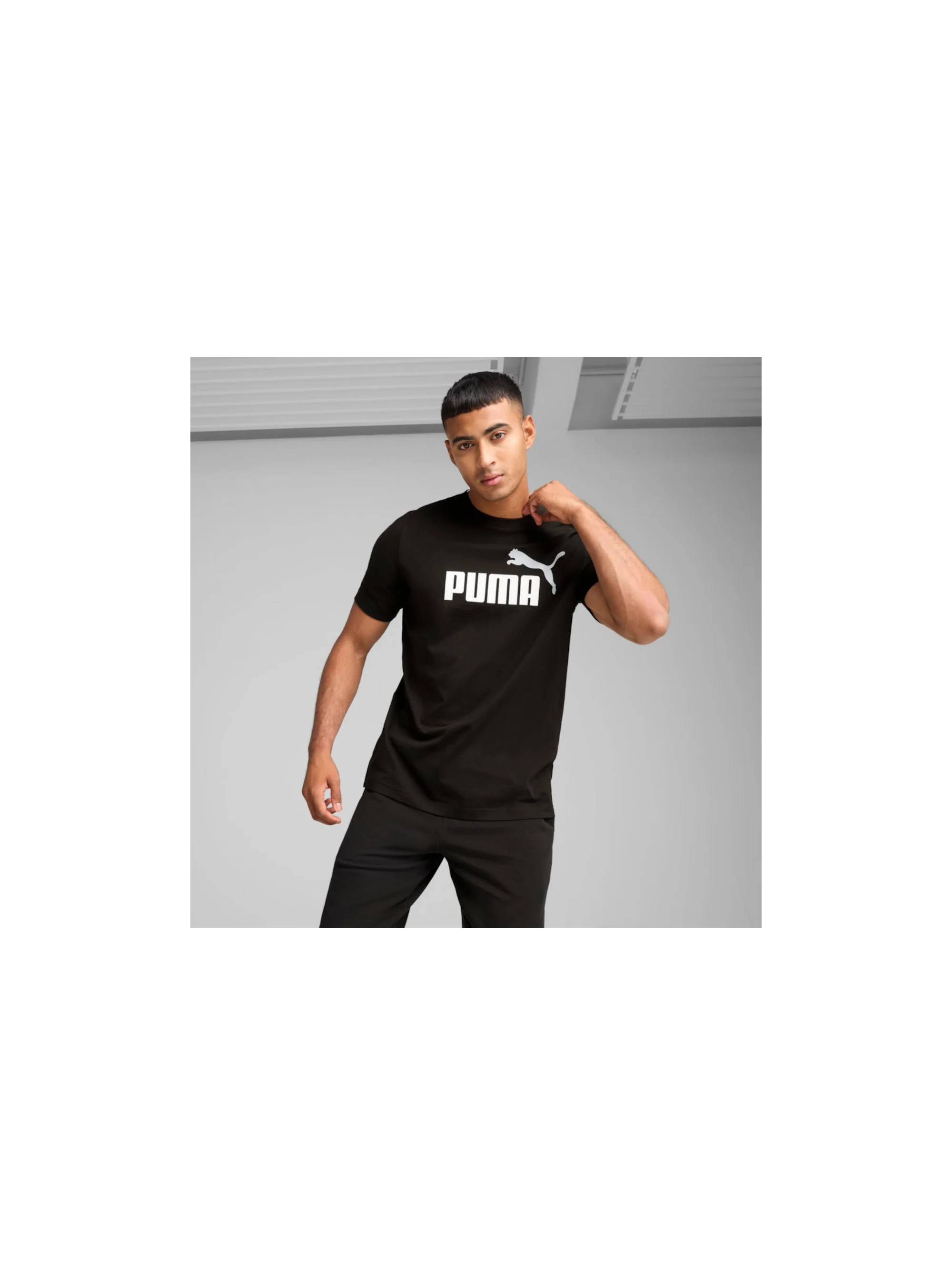 Puma ESS 2 COLOR NO.1 LOGO TEE 68470801