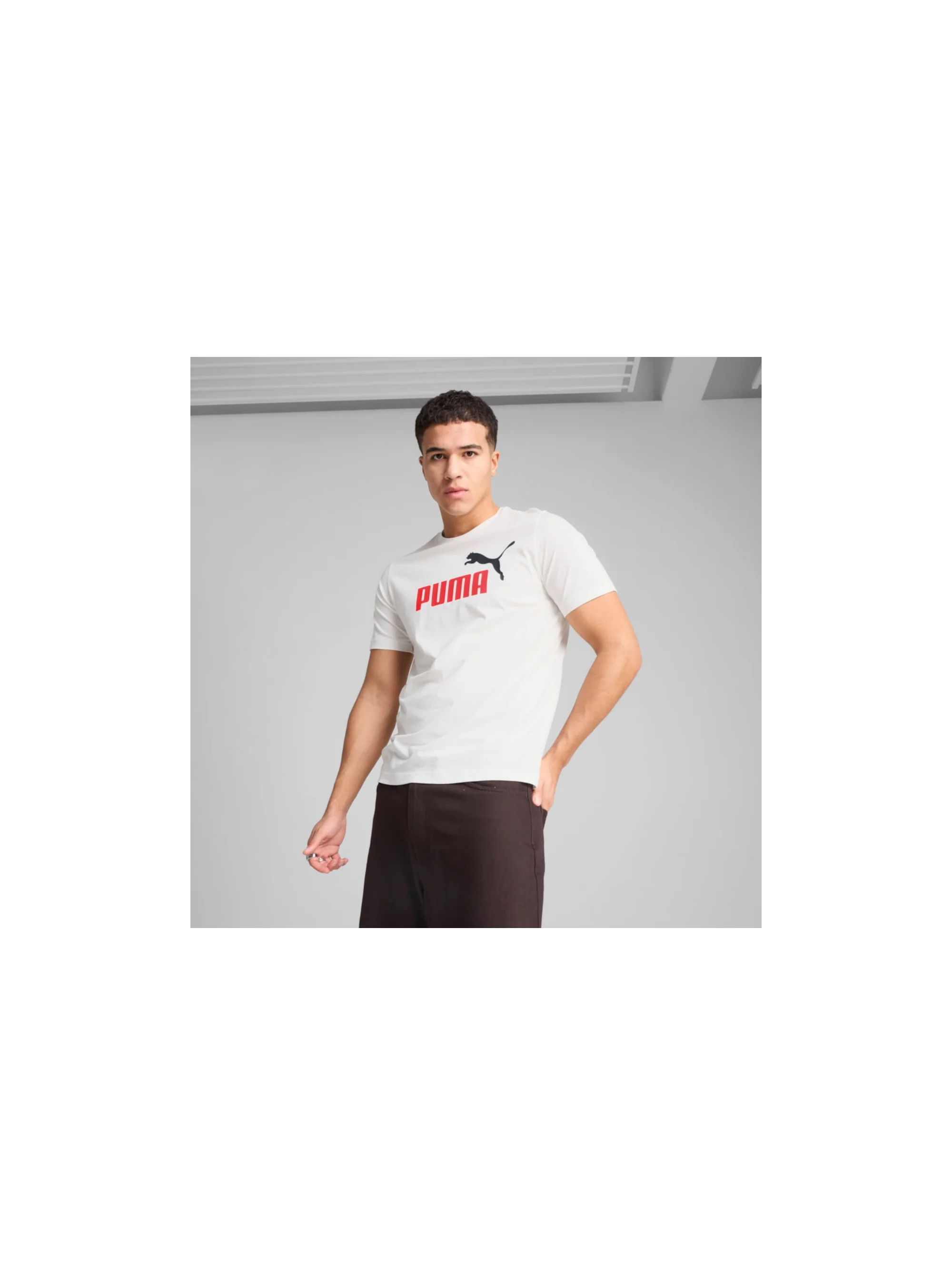 Puma ESS 2 COLOR NO.1 LOGO TEE 68470802
