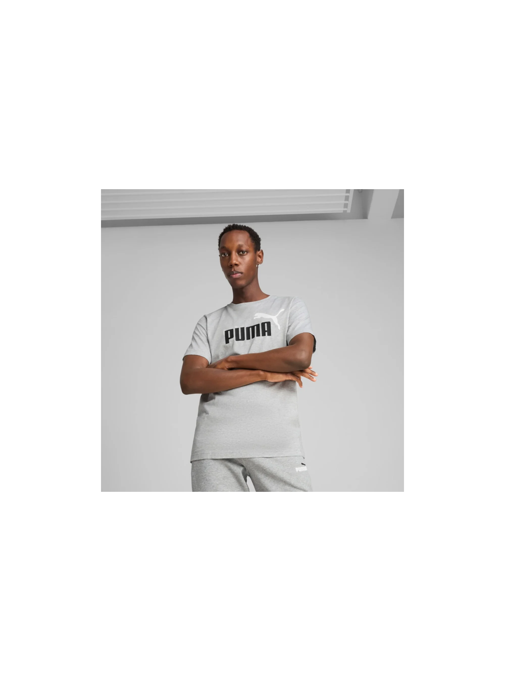 Puma ESS 2 COLOR NO.1 LOGO TEE 68470804