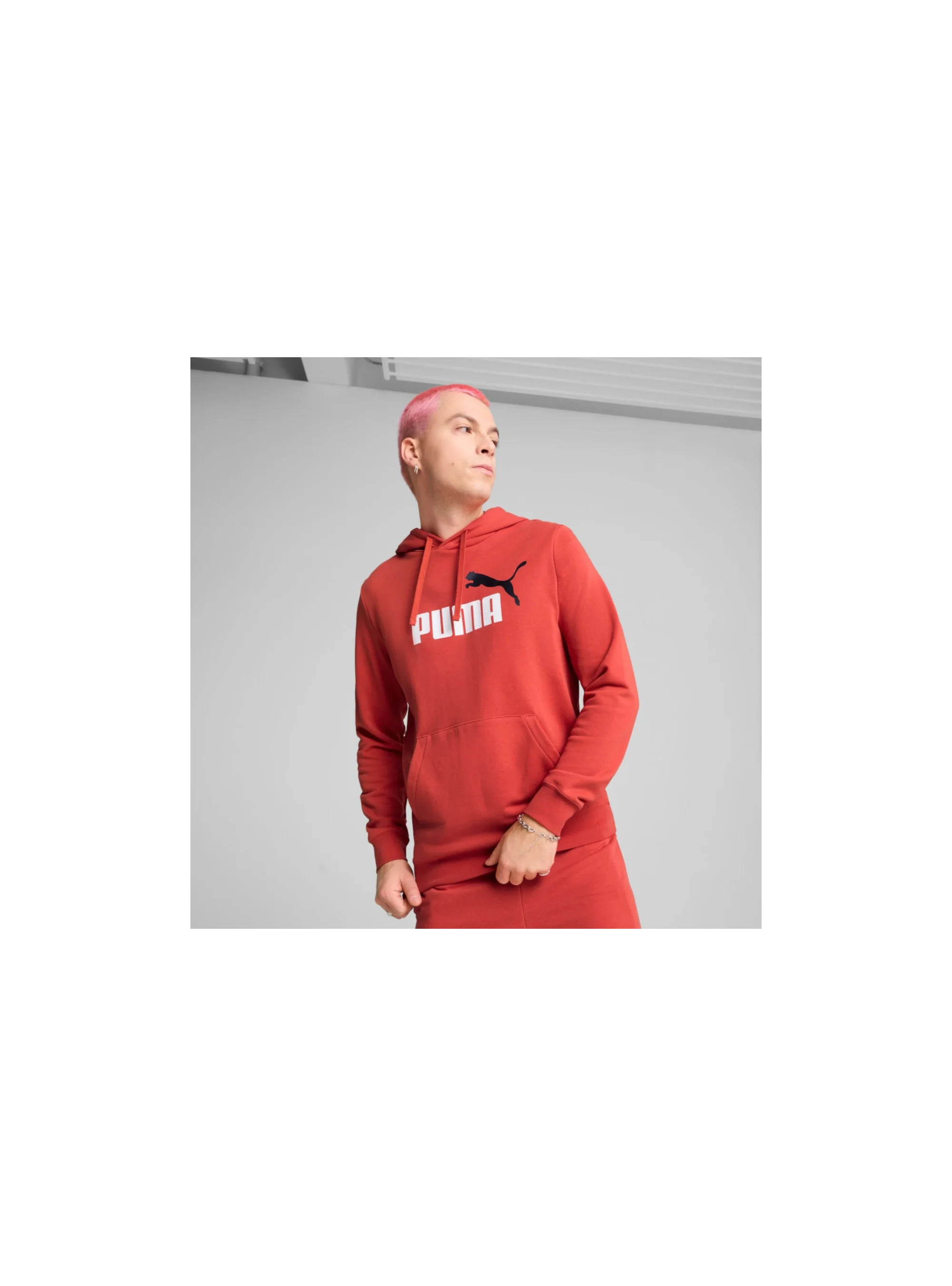Puma ESS 2 COLOR NO.1 LOGO HOODIE 68471215