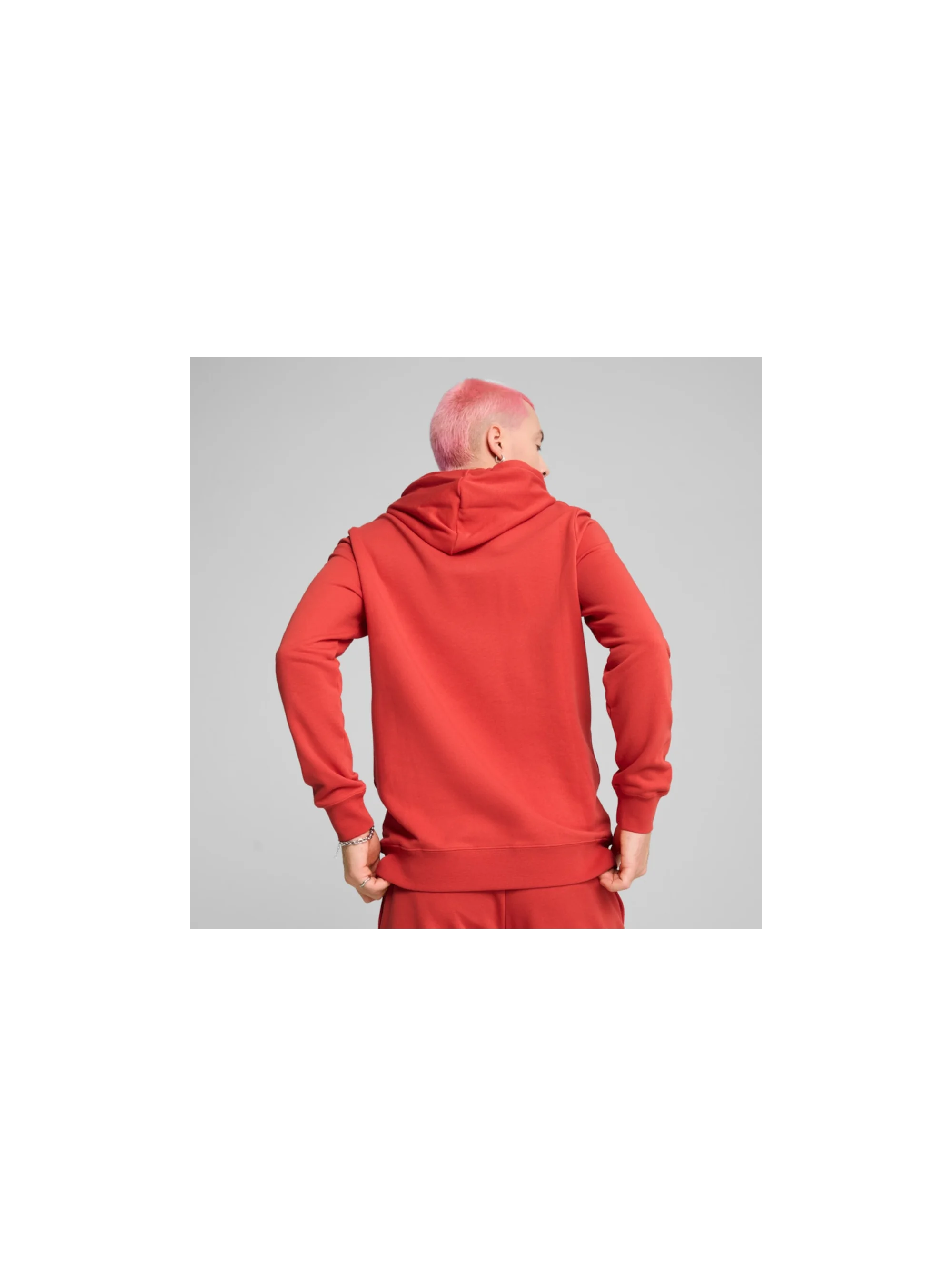 Puma ESS 2 COLOR NO.1 LOGO HOODIE 68471215