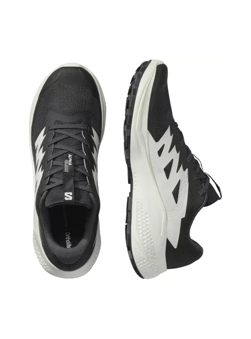 Salomon Męskie Buty Sportowe Alphaglide Wytrzymałe - Czarne