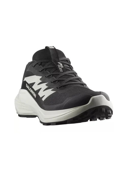 Salomon Męskie Buty Sportowe Alphaglide Wytrzymałe - Czarne