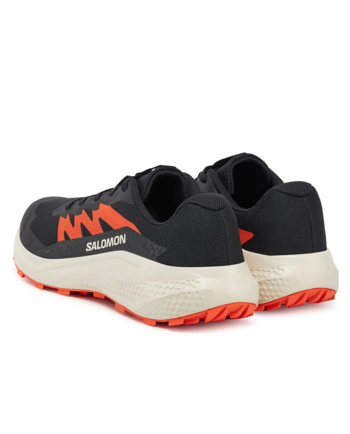 Salomon Męskie Buty Sportowe Alphaglide Wszechstronne - Czarne