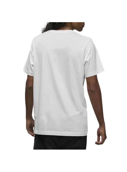 Nike JORDAN AIR STRETCH TEE DV1445100