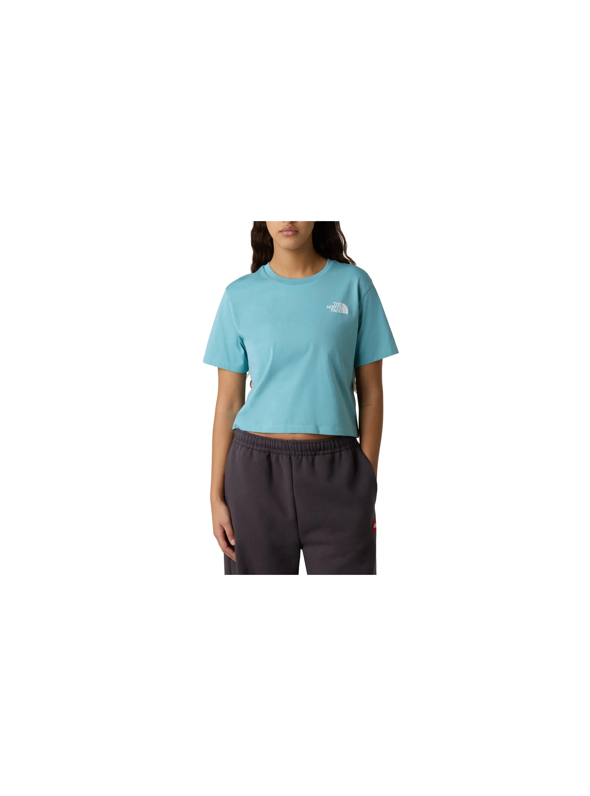 The North Face W SD CP RX TEE NF0A87U4BOA