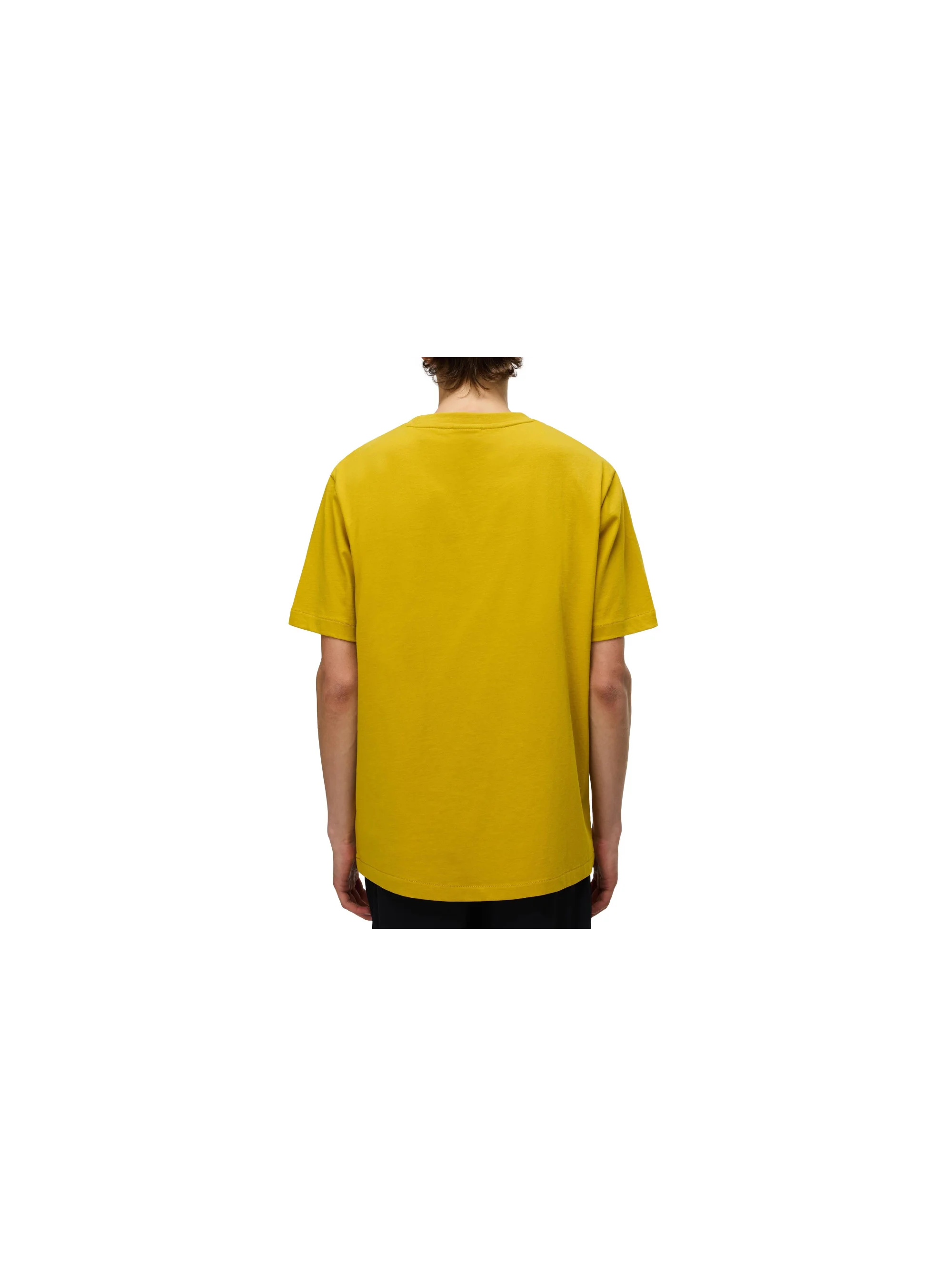 Napapijri S-BOX LOGO SS NP0A4I3LY1O