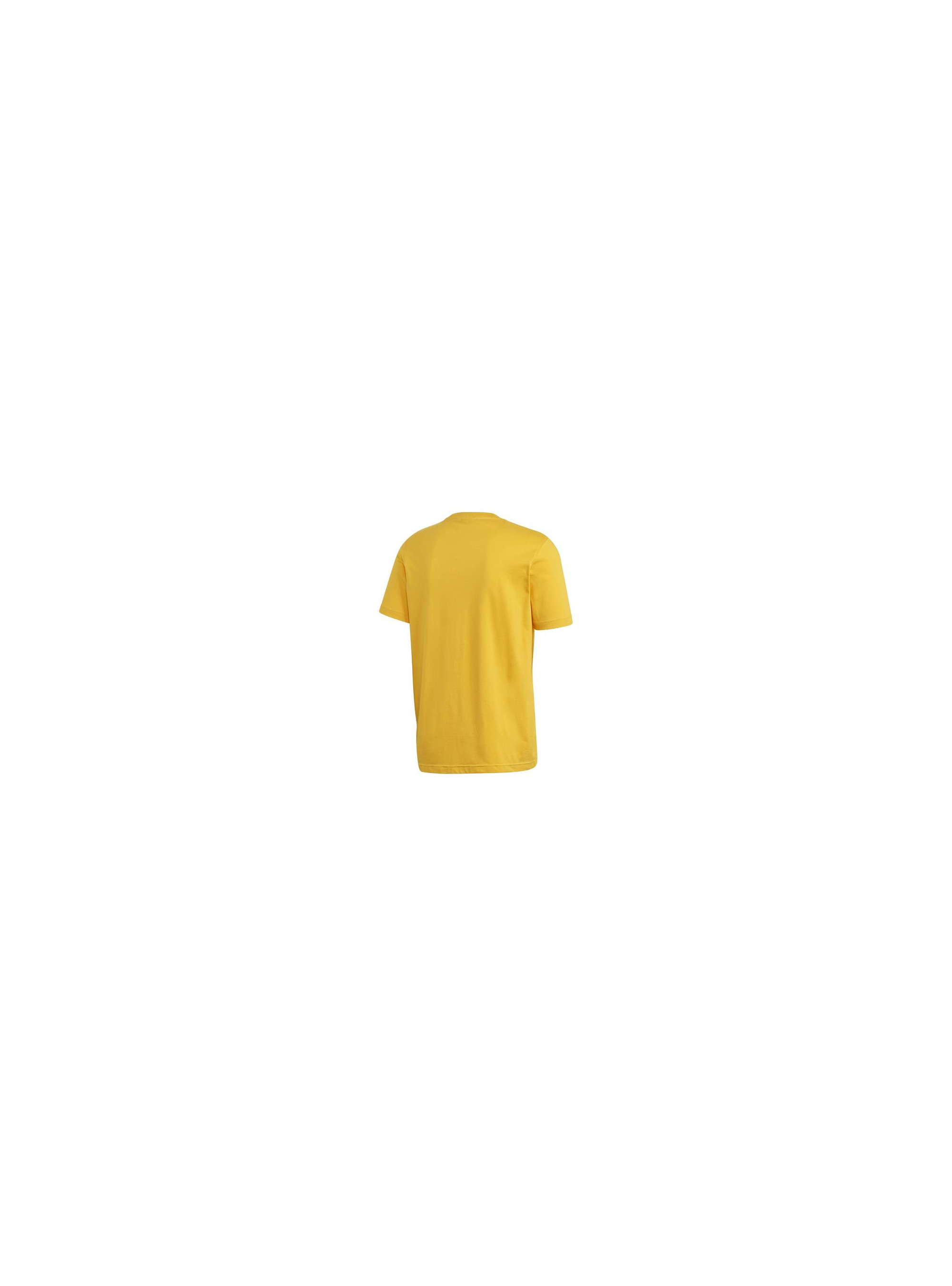 Adidas TREFOIL T-SHIRT GD9913