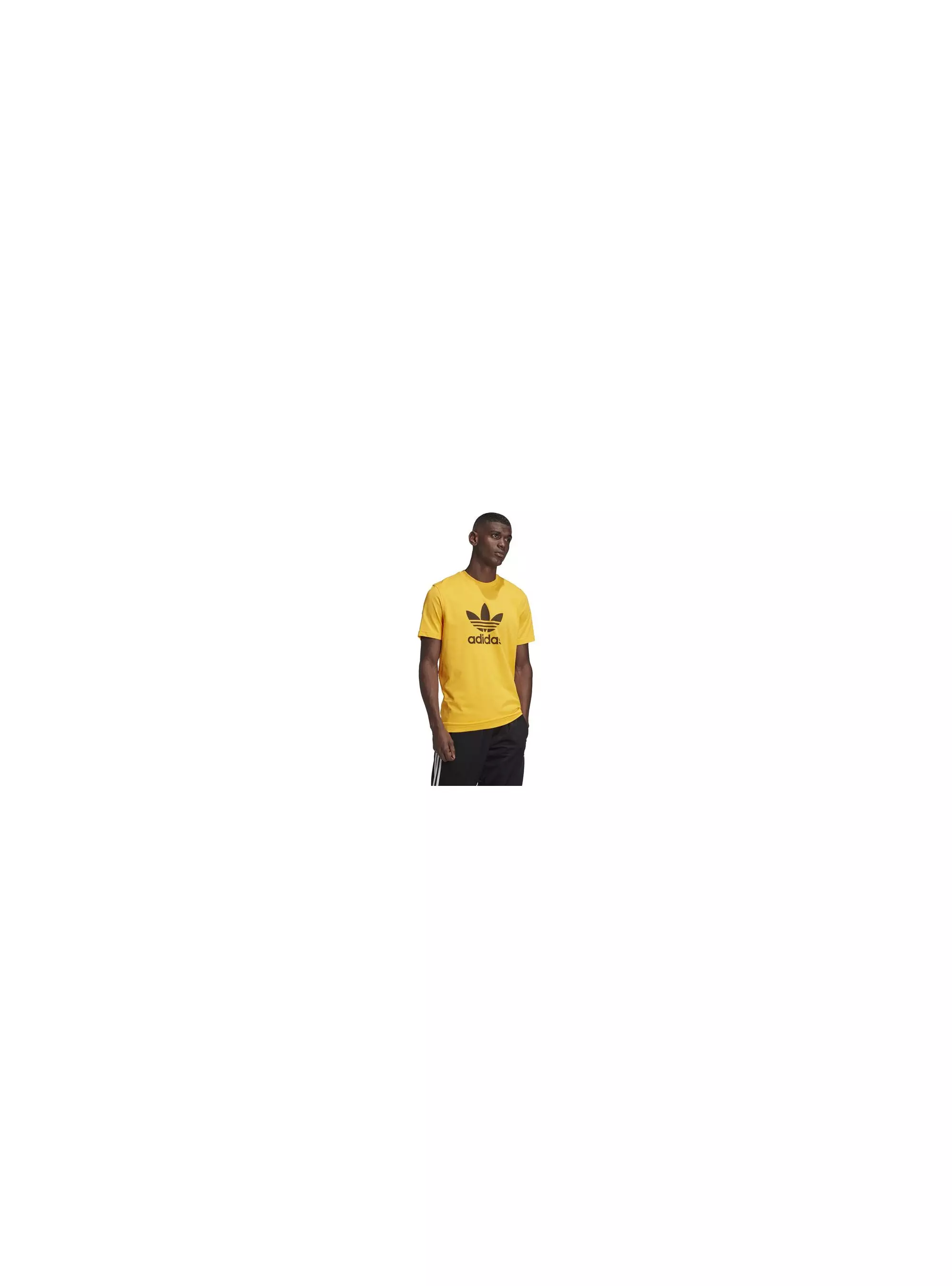 Adidas TREFOIL T-SHIRT GD9913