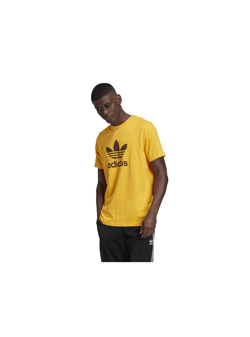 Adidas TREFOIL T-SHIRT GD9913