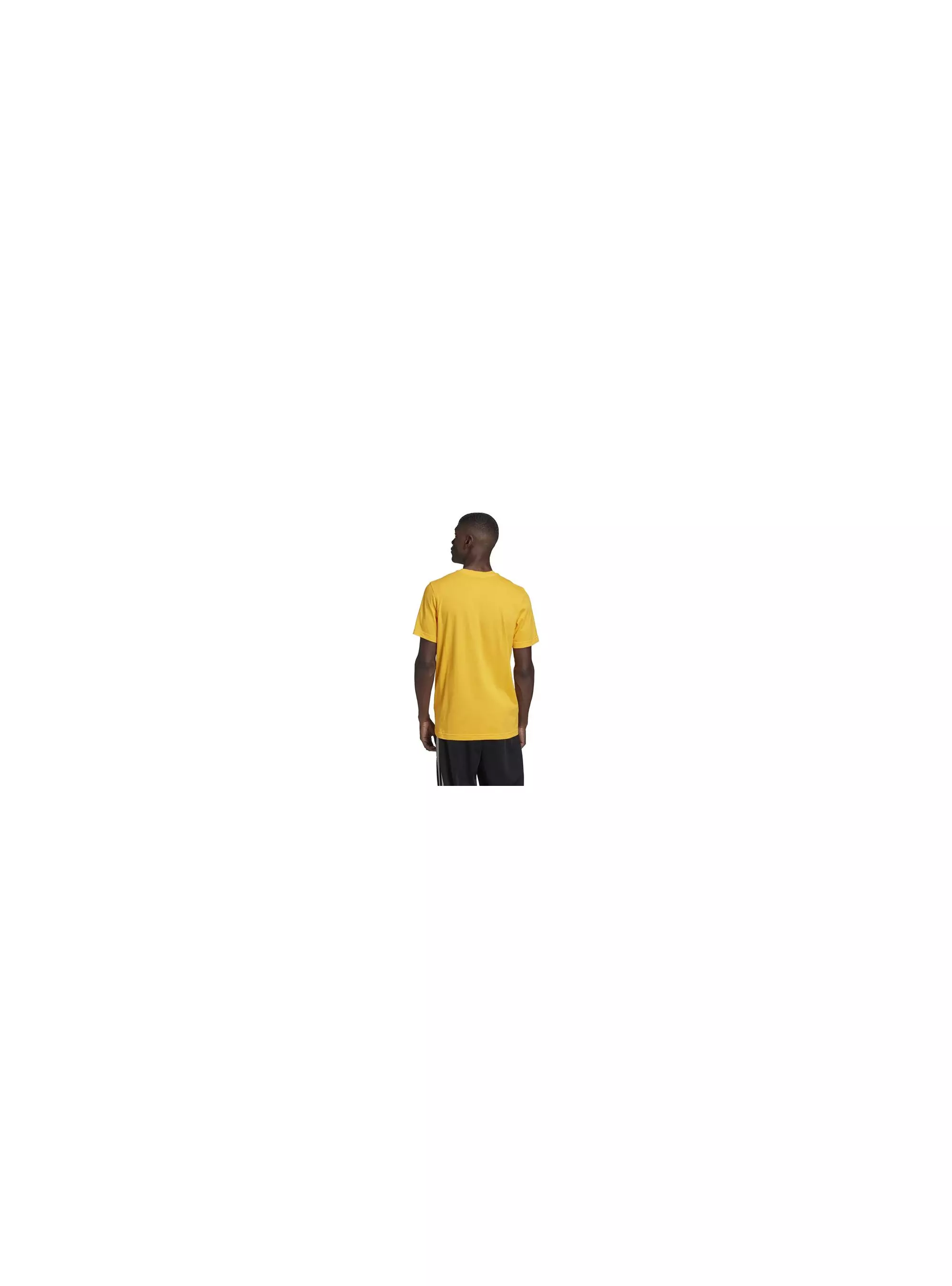 Adidas TREFOIL T-SHIRT GD9913