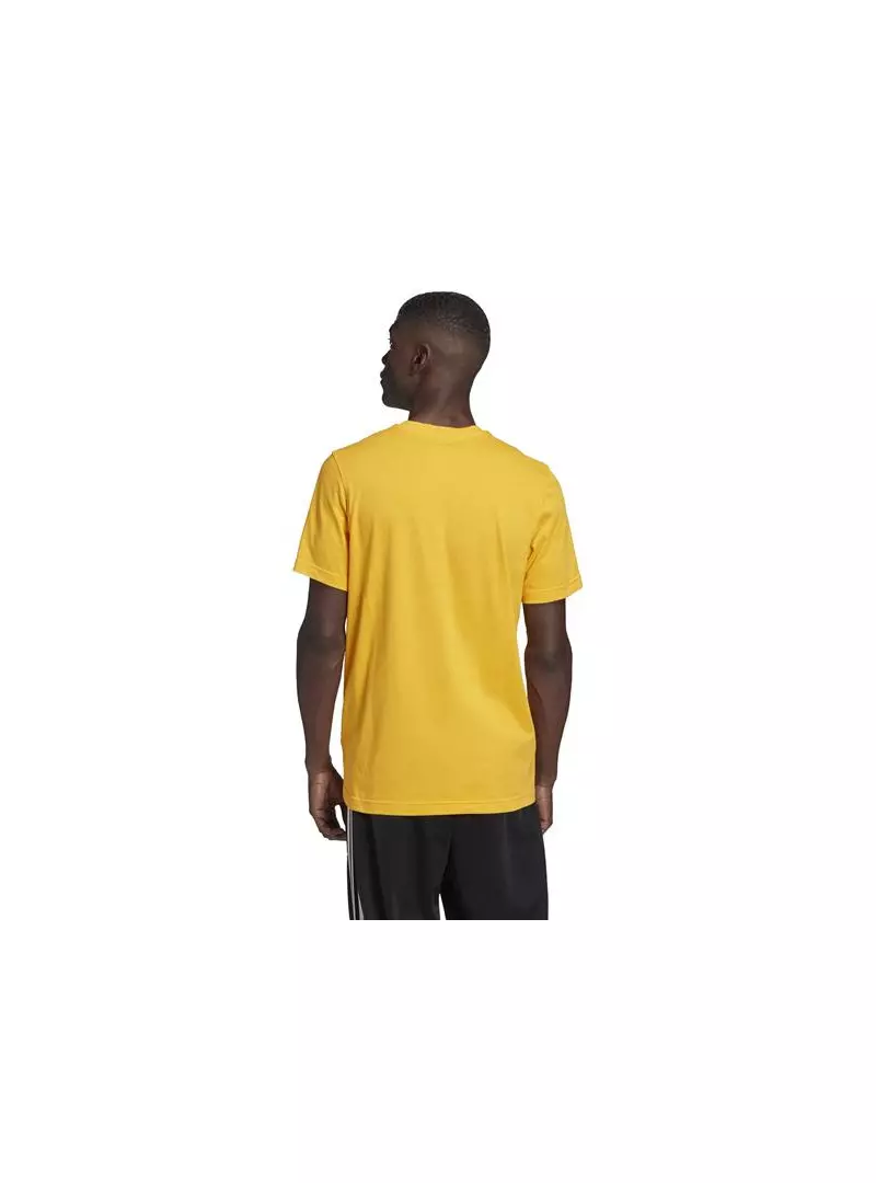 Adidas TREFOIL T-SHIRT GD9913