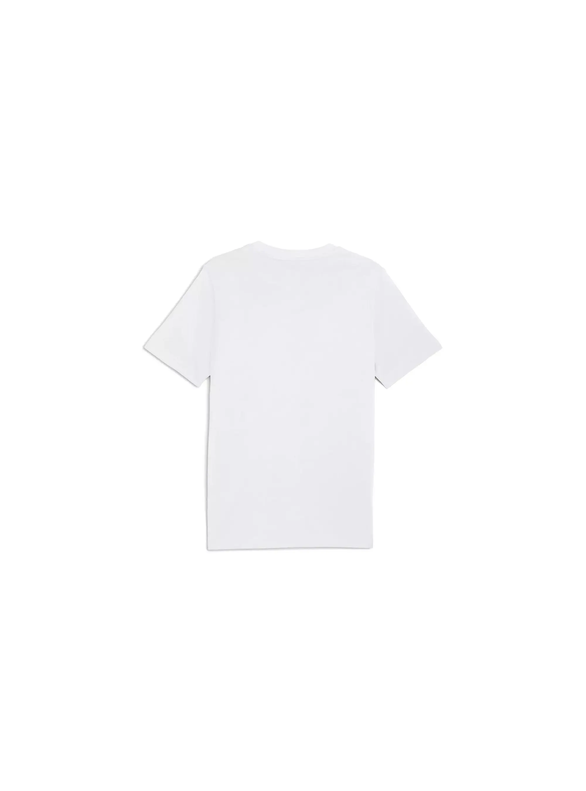 Puma GRAPHIC PUMA WORDING TEE 68803202