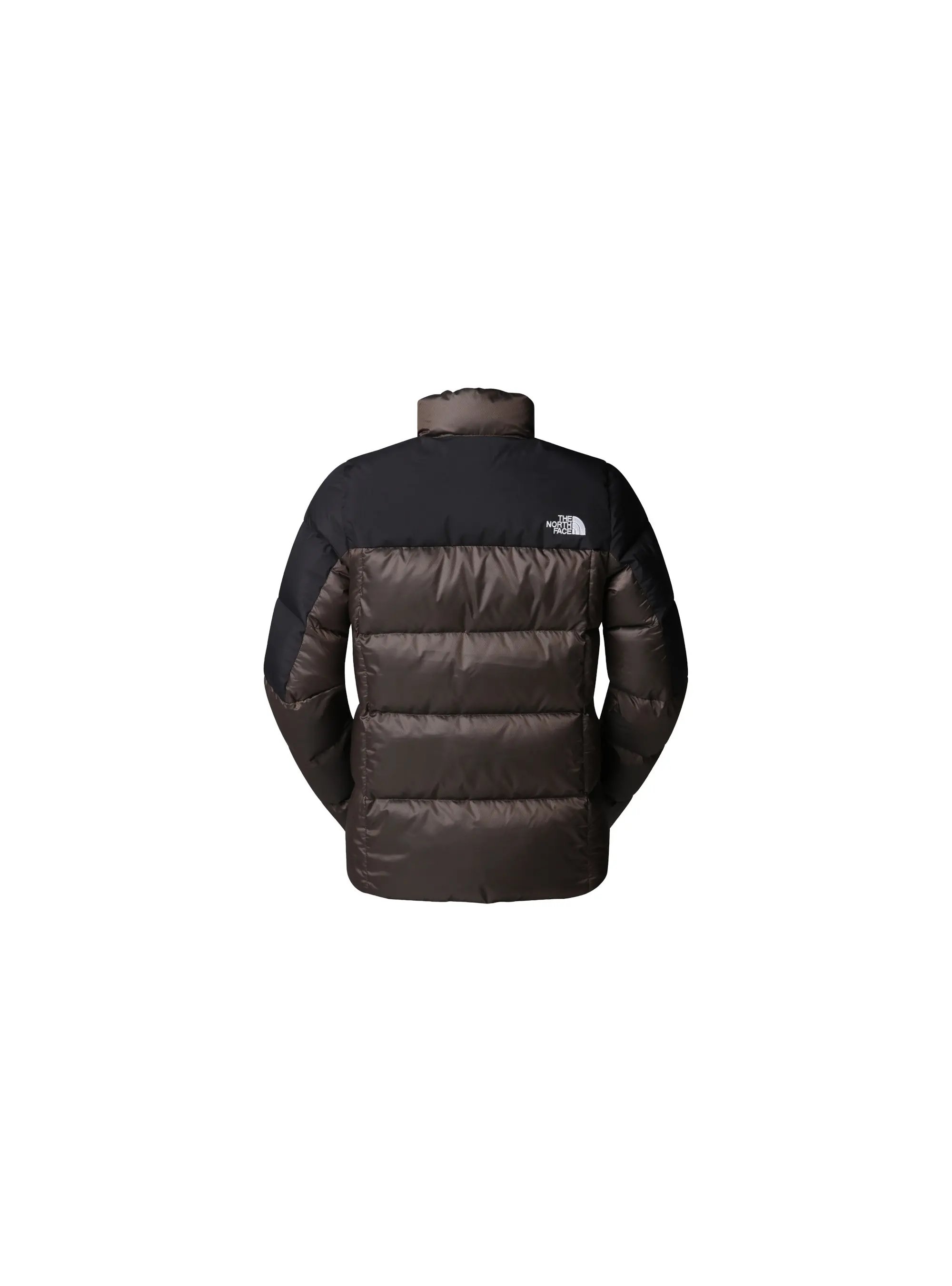 The North Face W DIABLO DIN 2.0 JACKET NF0A8E140BI