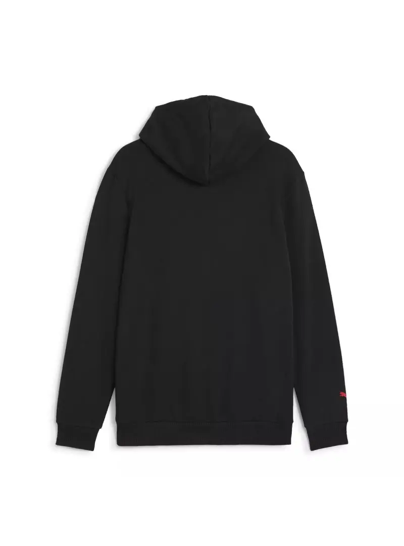 Puma F1 ESS LOGO HOODIE 62585301