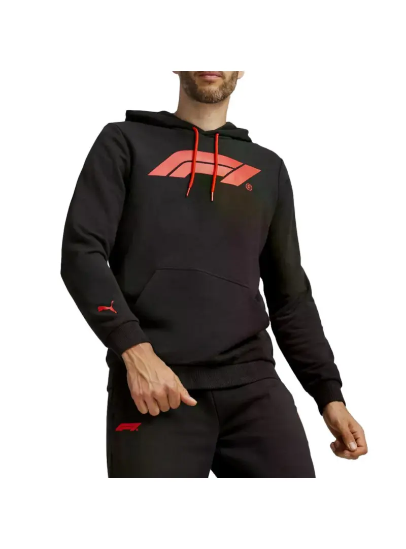 Puma F1 ESS LOGO HOODIE 62585301