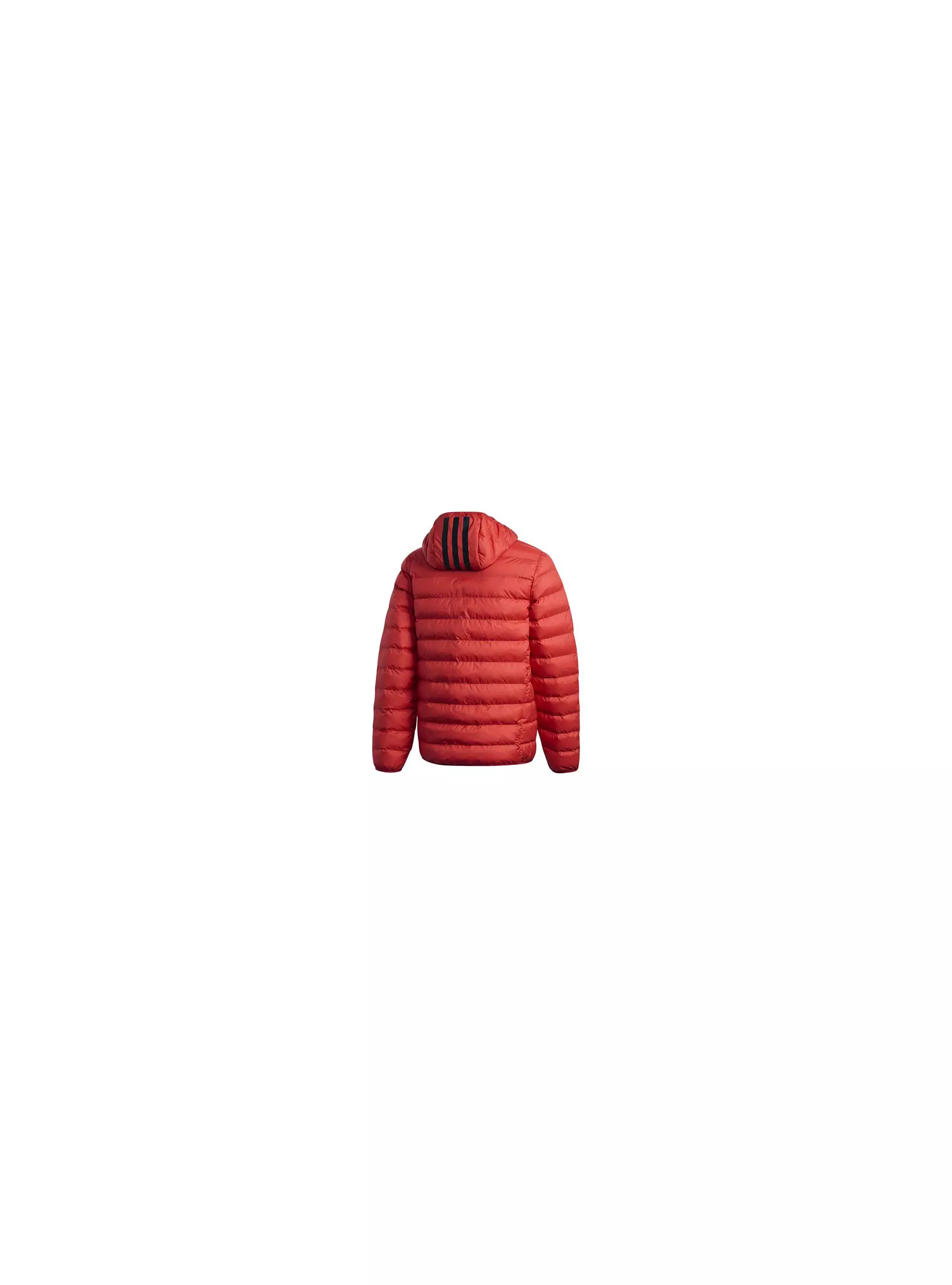 Adidas SYN FILL HD JKT GL6174
