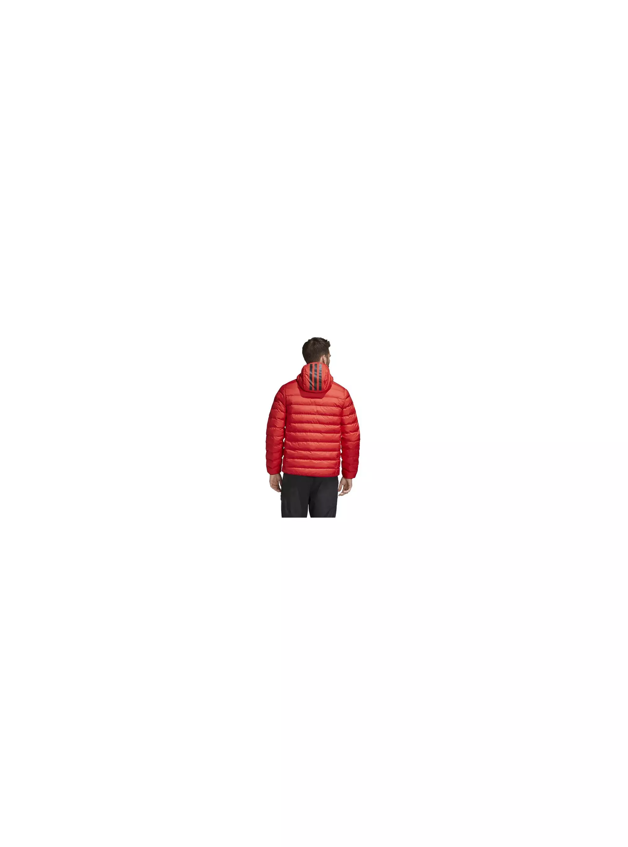 Adidas SYN FILL HD JKT GL6174