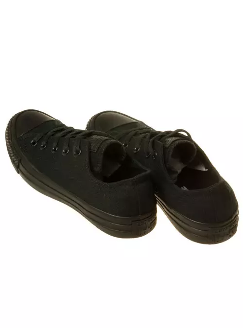 Converse CHUCK TAYLOR ALL STAR M5039C