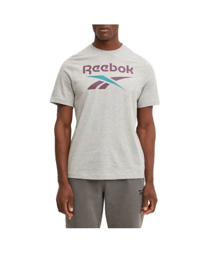 Reebok Męski T-shirt Identity Big Logo Tee 100206031 Szary | Sklep Monotox