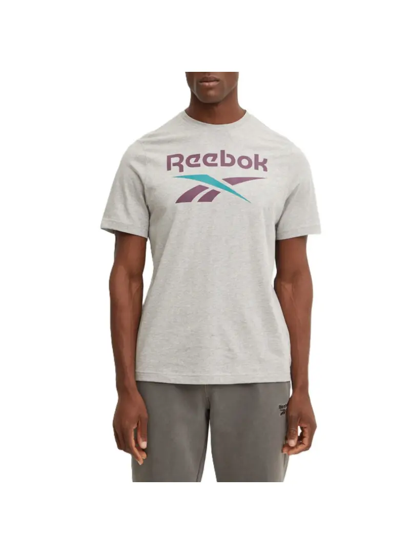 Reebok Męski T-shirt Identity Big Logo Tee 100206031 Szary | Sklep Monotox