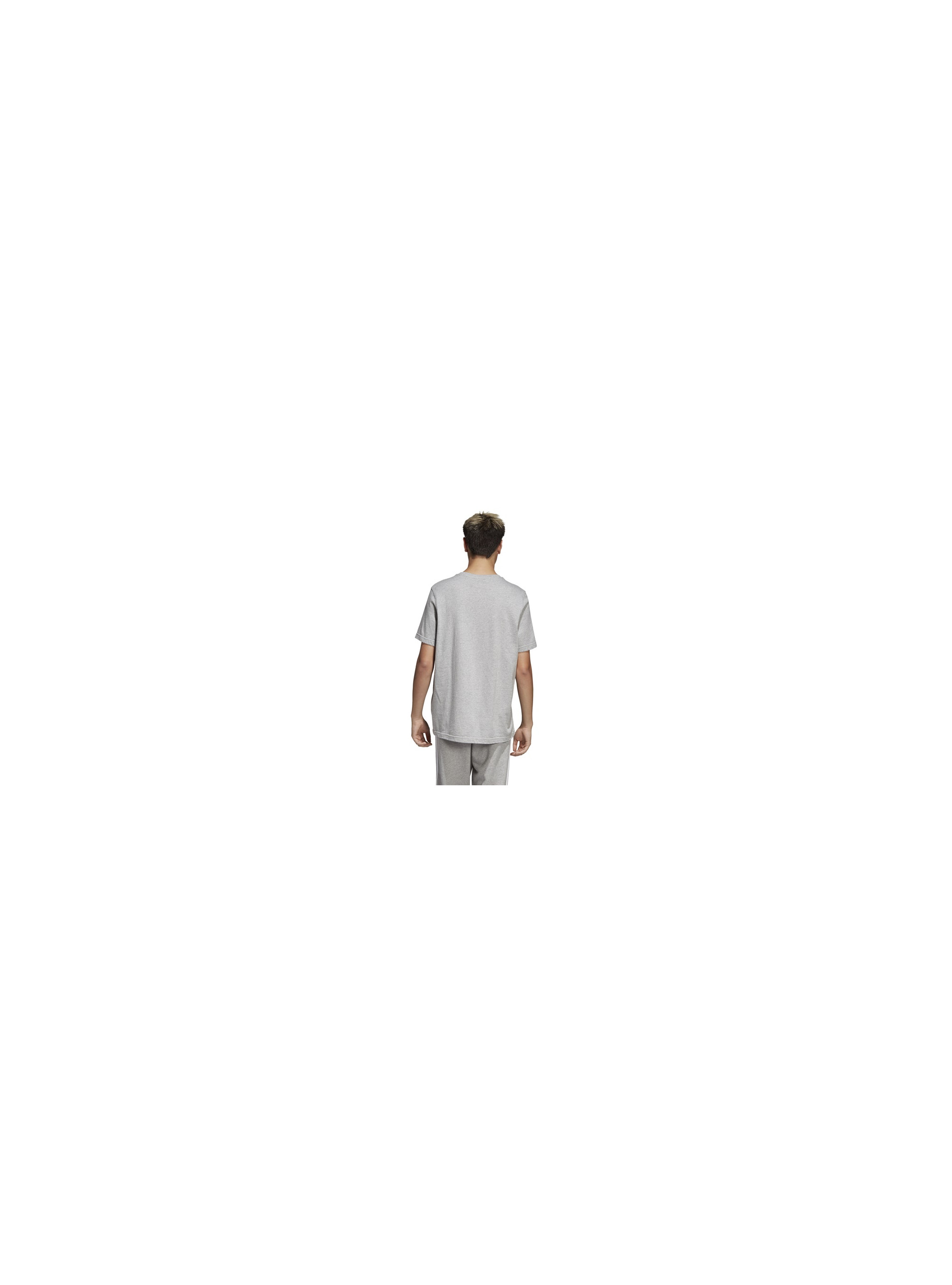Adidas TREFOIL T-SHIRT CY4574