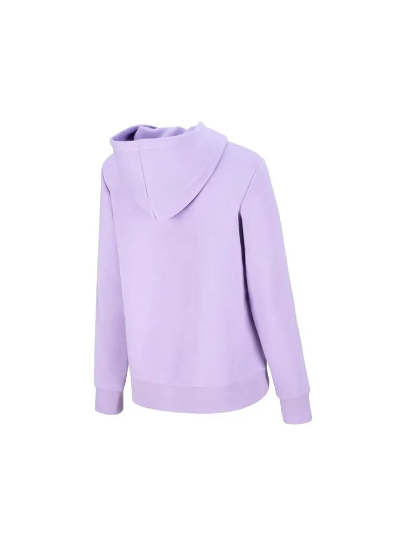 Champion Damska Bluza Hooded Sweatshirt 116066VS022 Fioletowy | Sklep Monotox