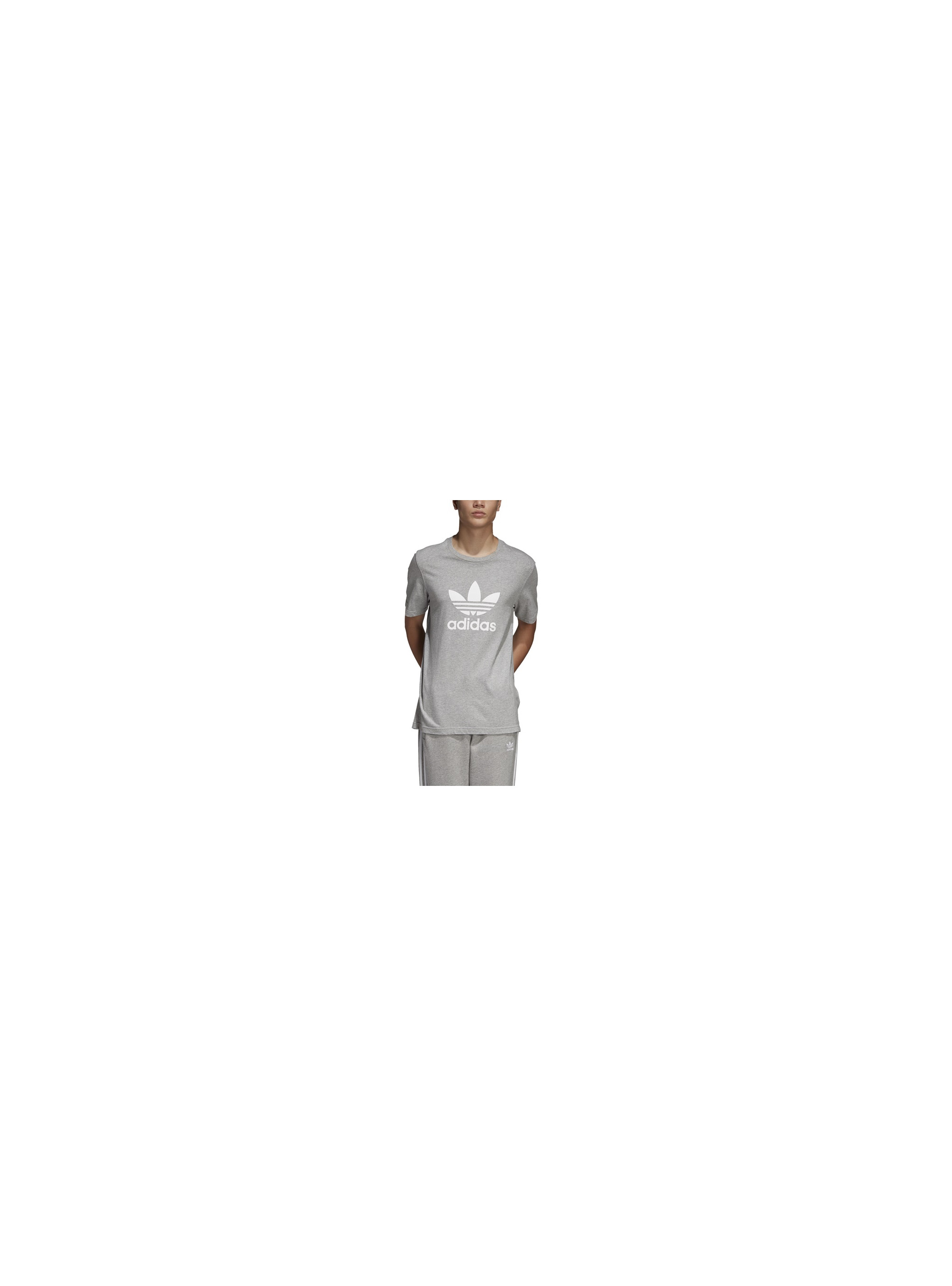 Adidas TREFOIL T-SHIRT CY4574