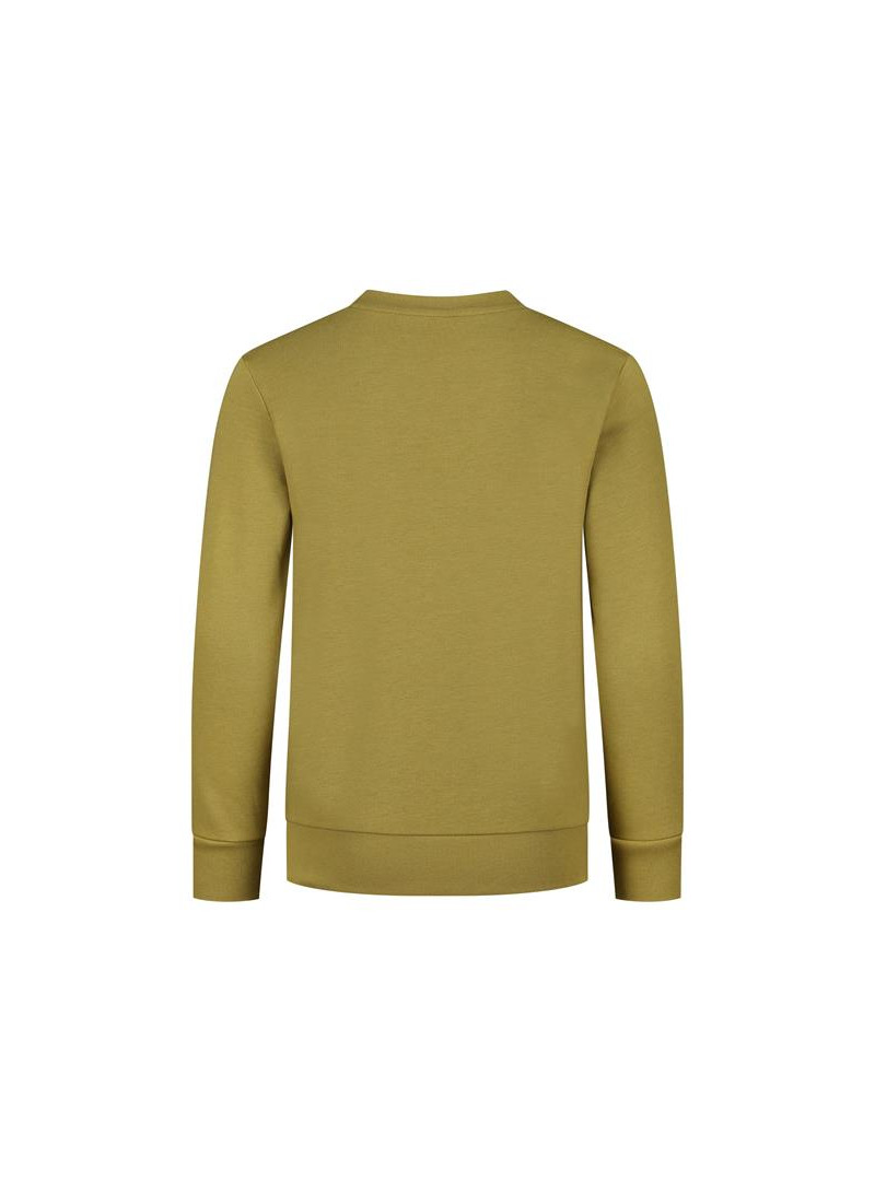 Champion Dziecięca Bluza Crewneck Sweatshirt 305905GS092 Zielony | Sklep Monotox