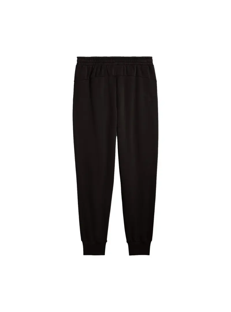 Puma Męskie Spodnie F1 Ess+ Sweatpants 63012301 Czarny | Sklep Monotox