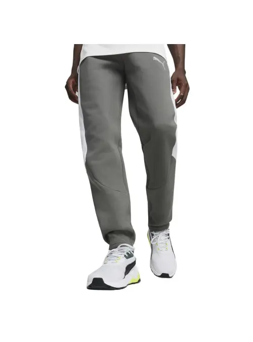 Puma Męskie Spodnie Evostripe Pants Dk 67899780 Szary | Sklep Monotox