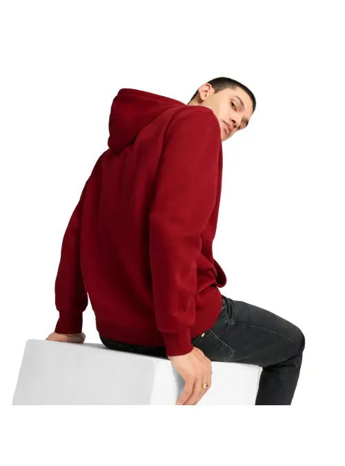 Puma Męska Bluza Power Graphic Hoodie Fl 68174113 Czerwony | Sklep Monotox