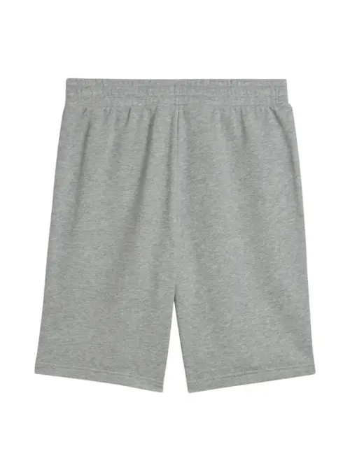 Puma Męskie Szorty Ess No.1 Logo Shorts 10 68259403 Szary | Sklep Monotox