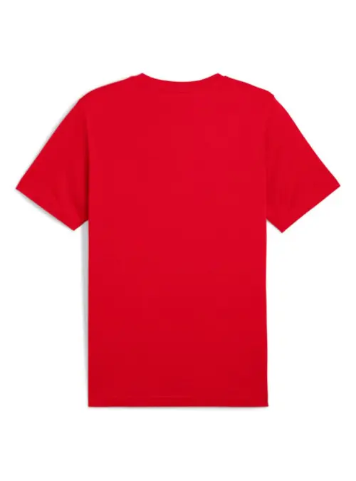 Puma Męski T-shirt Ess 2 Color No.1 Logo Tee 68470811 Czerwony | Sklep Monotox