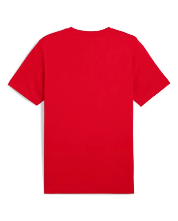 Puma Męski T-shirt Ess 2 Color No.1 Logo Tee 68470811 Czerwony | Sklep Monotox