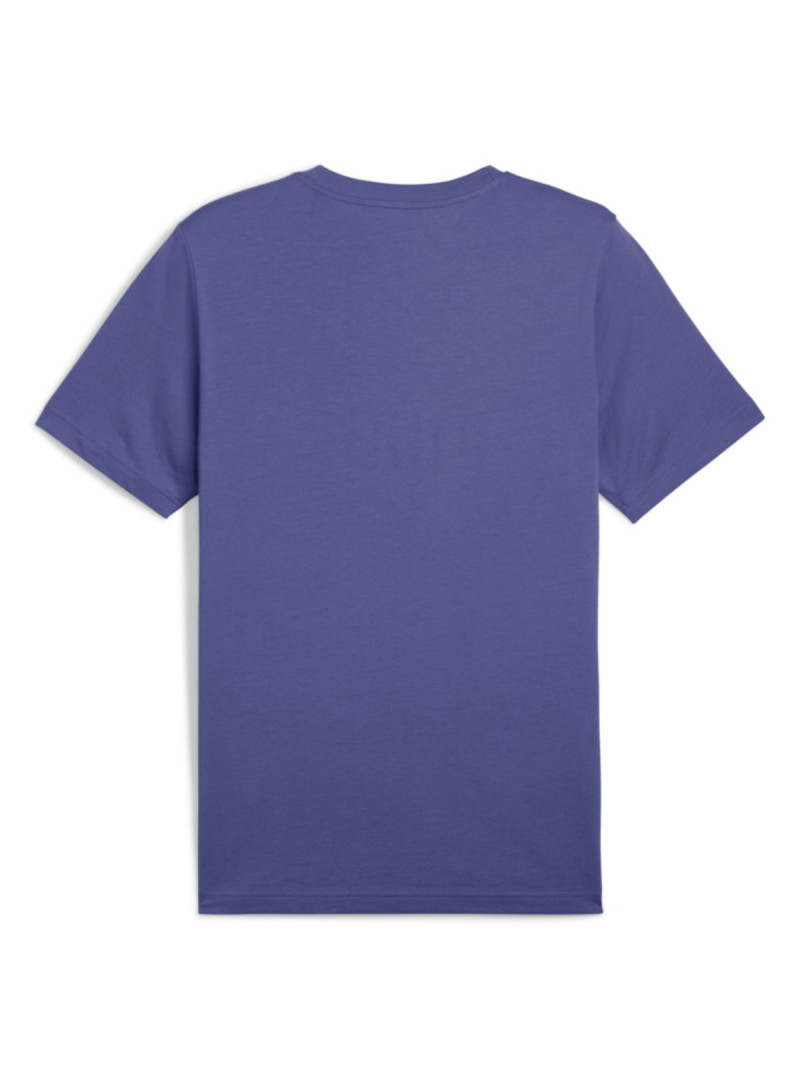 Puma Męski T-shirt Ess 2 Color No.1 Logo Tee 68470846 Fioletowy | Sklep Monotox
