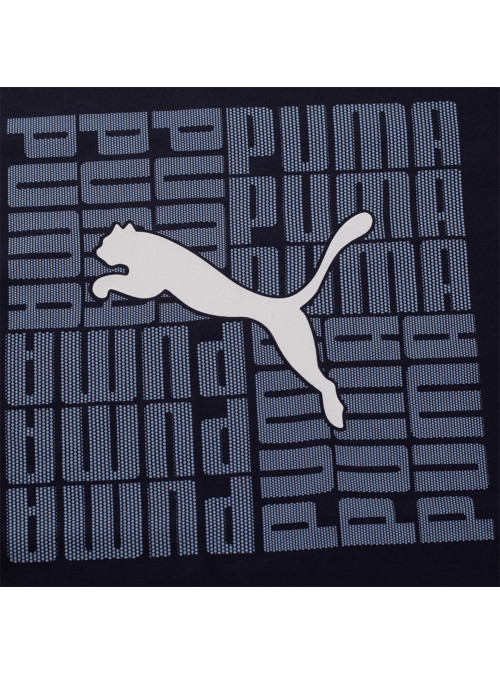 Puma Męski T-shirt Graphic Box Tee 68803116 Czarny | Sklep Monotox