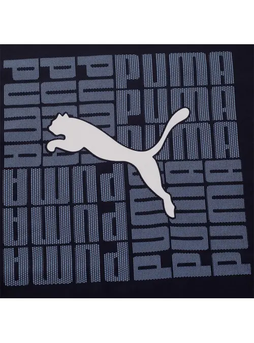 Puma Męski T-shirt Graphic Box Tee 68803116 Czarny | Sklep Monotox