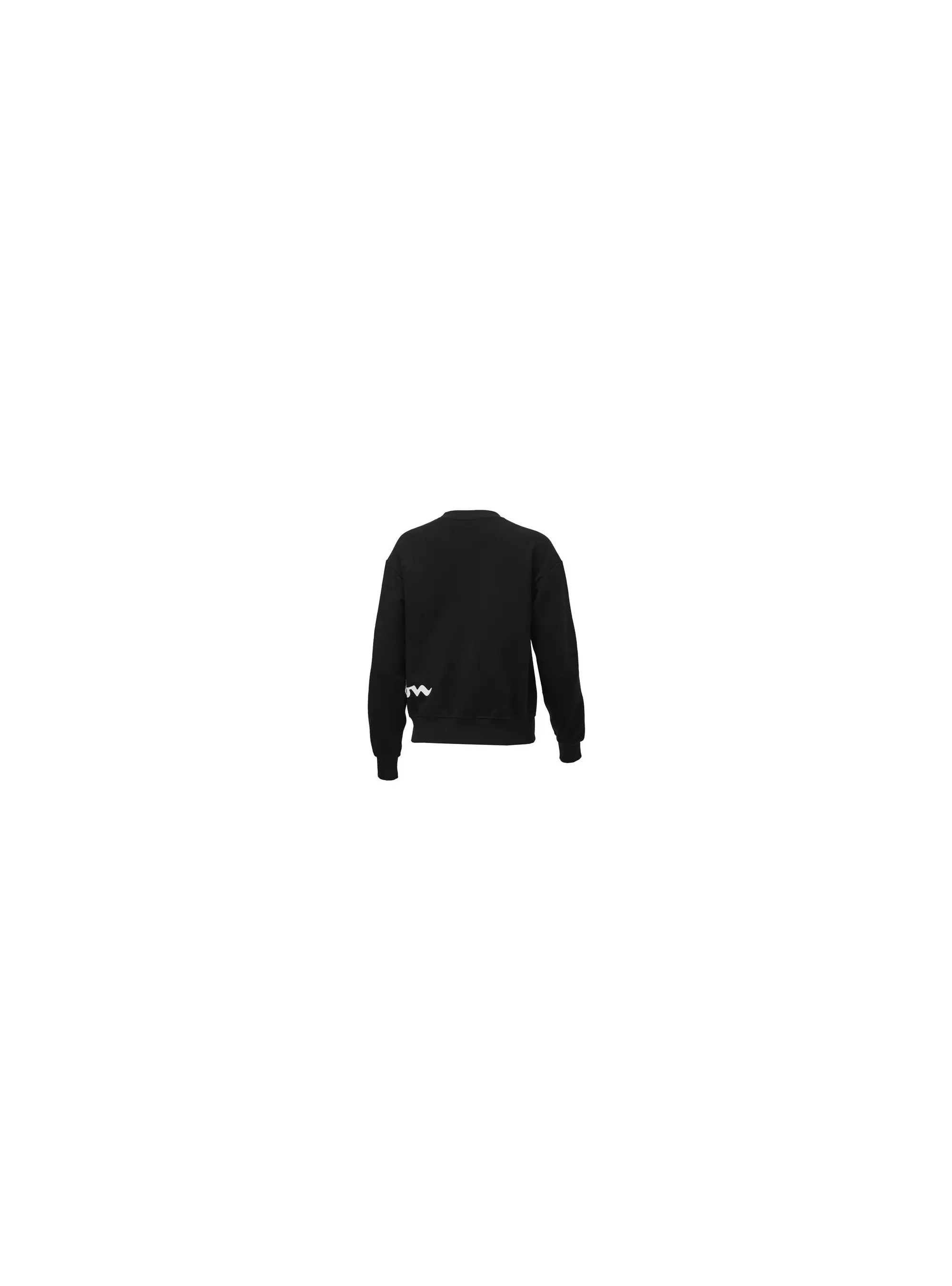 Champion CREWNECK SWEATSHIRT 114423KK001