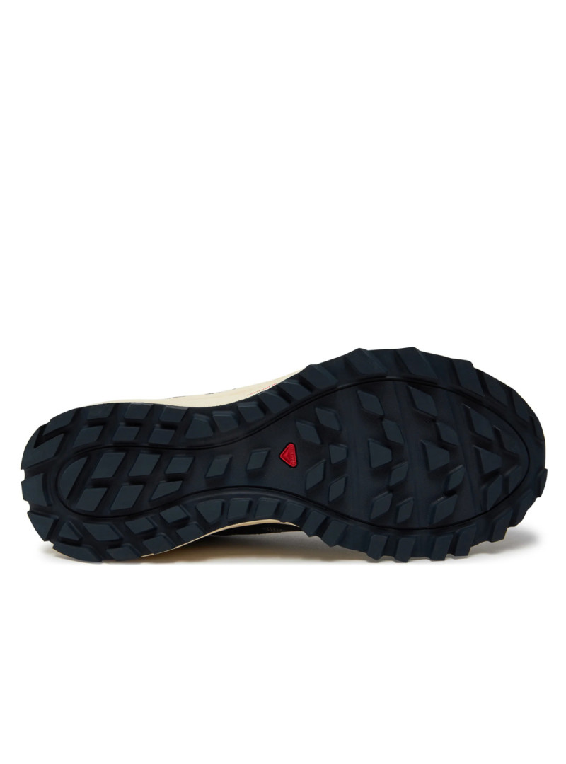 Salomon Męskie Obuwie Sportowe Wander L47435900 Beżowy | Sklep Monotox