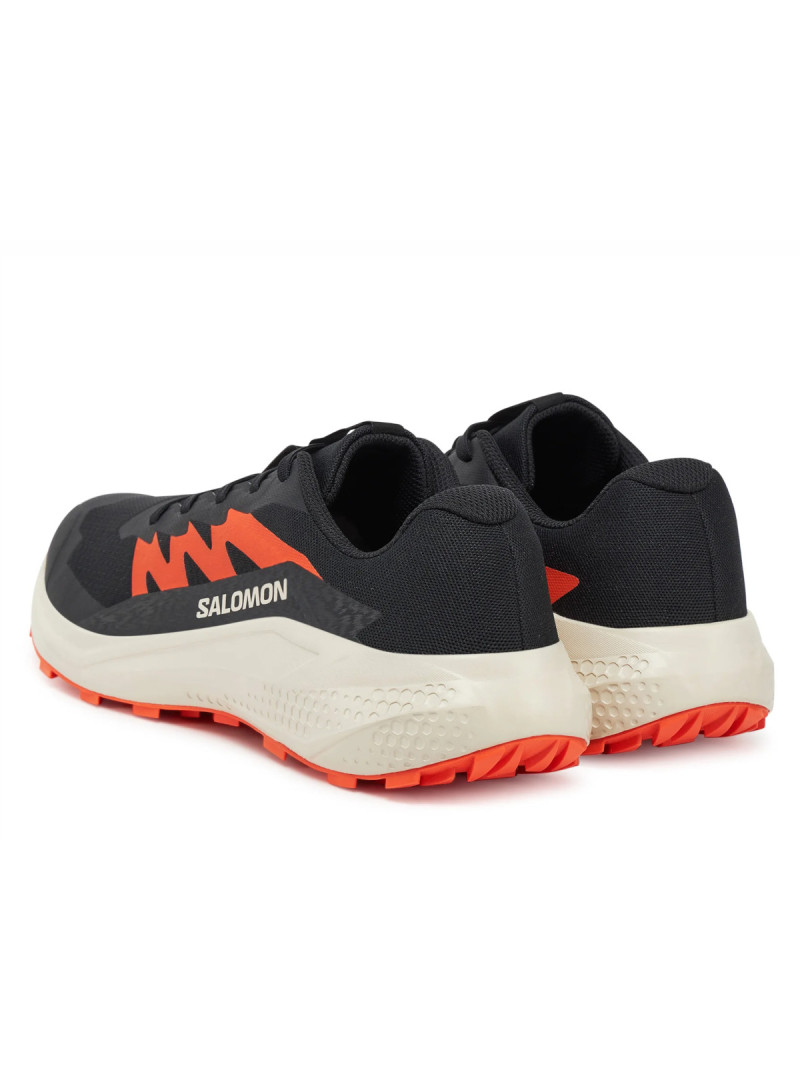 Salomon Męskie Obuwie Sportowe Alphaglide L47801100 Czarny | Sklep Monotox